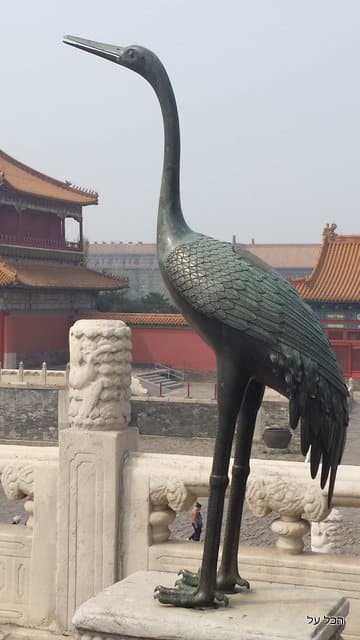 מהפסלים והמוצגים שבעיר האסורה המלמדים על עוצמתה התרבותית של סין הקיסרית  (צילום מקורי)