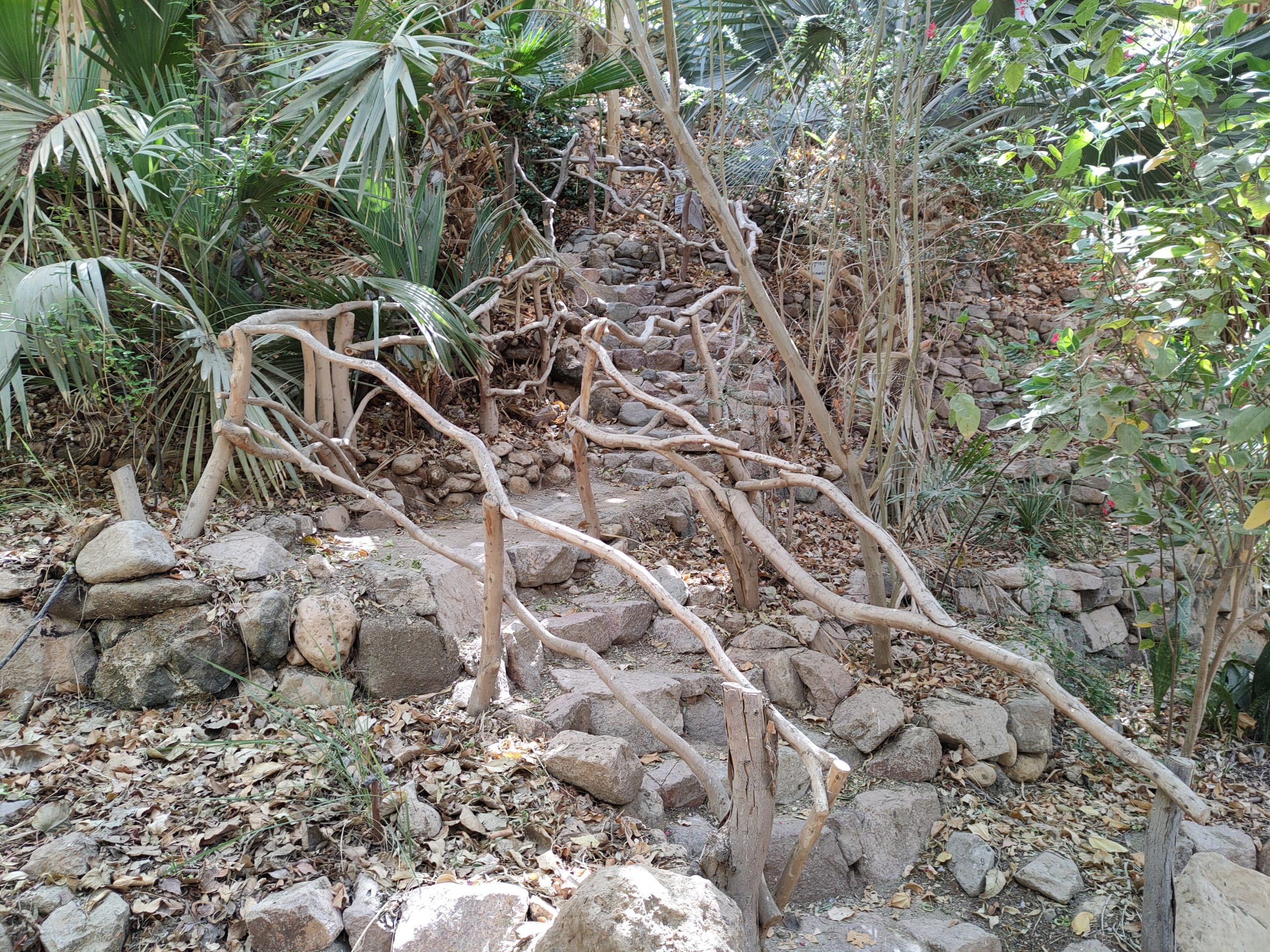 מדרגות עם מעקות עץ בגן (צילום: צילום מקור)