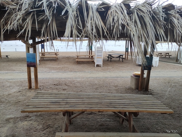בחוף אלמוג ישנם שולחנות פיקניק, סככות, כיסאות ומיטות שיזוף  (צילום מקורי)