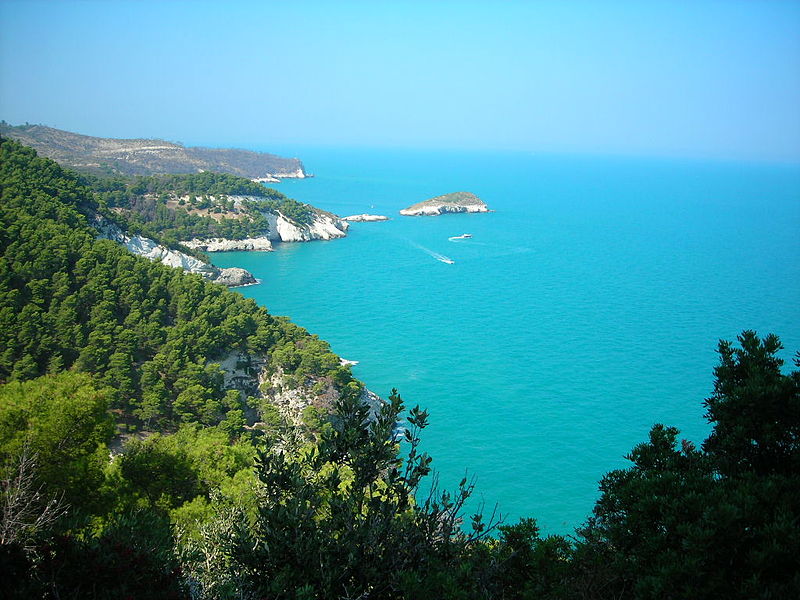 נוף לים האדריאטי מחצי האי גרגאנו