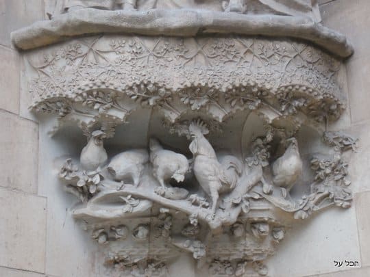 סמלי בעלי חיים כמו תרנגול, זיקית ואריות מופיעים רבות בסגרדה פמיליה