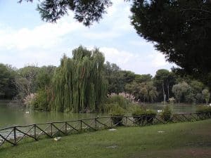 פארק פינאטה דנונזיאנה פסקארה