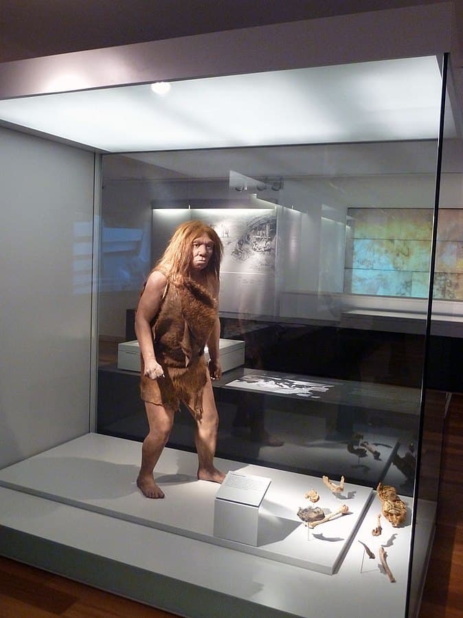 מוזיאון לארכיאולוגיה של אוביידו, מספר את סיפורה ההיסטורי של ממלכת אסטוריאס, אוביידו , והסביבה. (צילום: Nacho, רישיון)