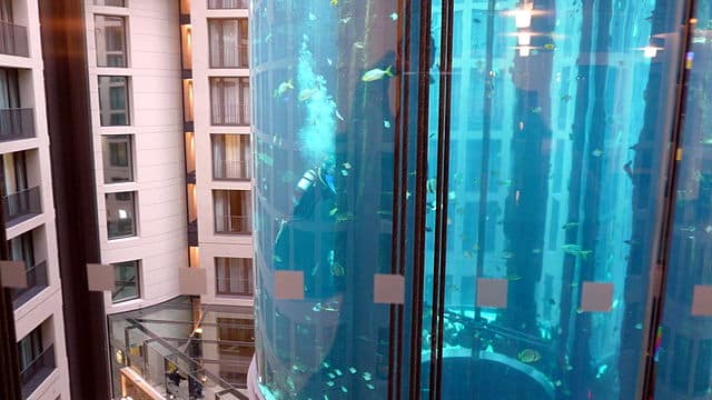 המעלית השקופה מוקפת בחיות ים- אטרקציה ייחודית באקווה דום