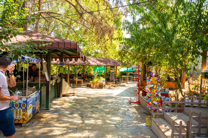 בפארק מפלי דודן ישנם דוכנים, בתי קפה ומקומות מהממים לפקניק