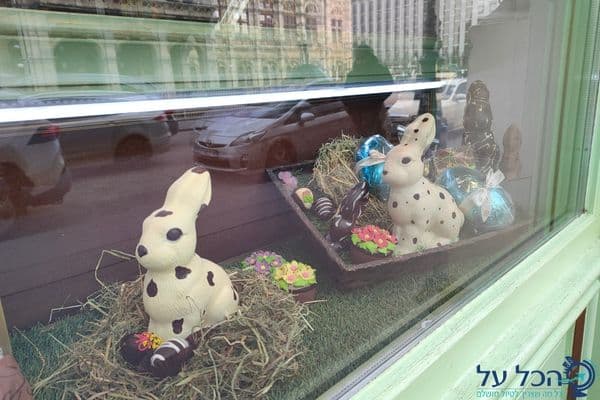 ארנבונים עשויים שוקולד בחלון ראווה צילום מקורי