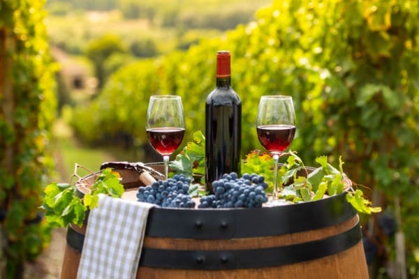 יין אדום על רקע כרמי בורדו, צרפת