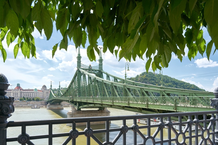 להנות מכל הנקודות האייקוניות של בודפשט- בתמונה Freedom Bridge