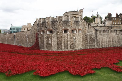 פרחים במצודת לונדון ביום הזיכרון