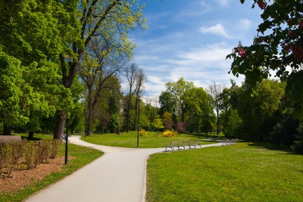 פארק באולומוץ